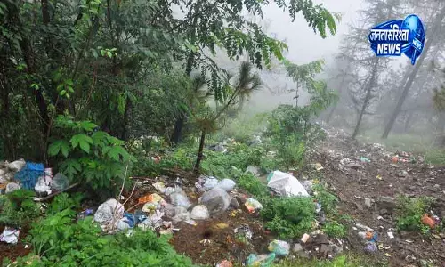 Shimla के जंगलों में अवैध डंपिंग जारी Shimla के जंगलों में अवैध डंपिंग जारी