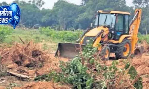 Baripada बस टर्मिनल प्रोजेक्ट में पेड़ कटाई पर विवाद Baripada बस टर्मिनल प्रोजेक्ट में पेड़ कटाई पर विवाद