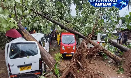 Thrissur में तूफान से स्कूल के पास बड़े पेड़ उखड़ गए; गाड़ियों को नुकसान हुआ