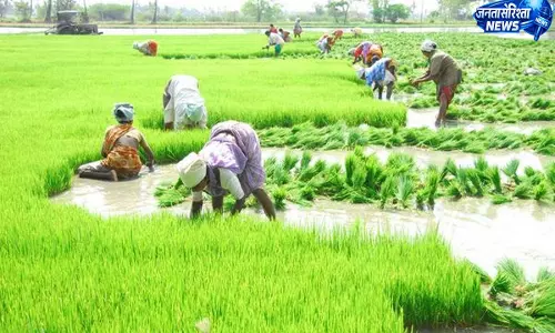 खरीफ 2026 की तैयारी तेज, सहकारी समितियों में 20 हजार टन से अधिक खाद का भंडारण खरीफ 2026 की तैयारी तेज, सहकारी समितियों में 20 हजार टन से अधिक खाद का भंडारण