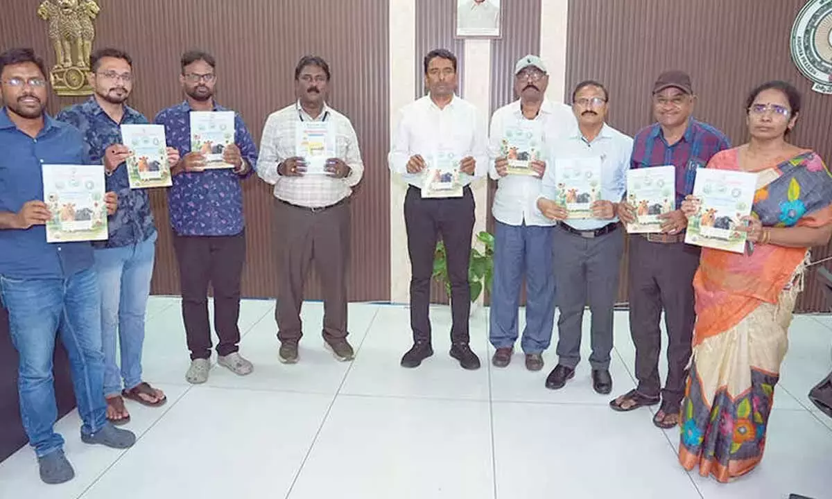 पशुधन टिकाऊ ग्रामीण समृद्धि की कुंजी है: कलेक्टर पशुधन टिकाऊ ग्रामीण समृद्धि की कुंजी है: कलेक्टर