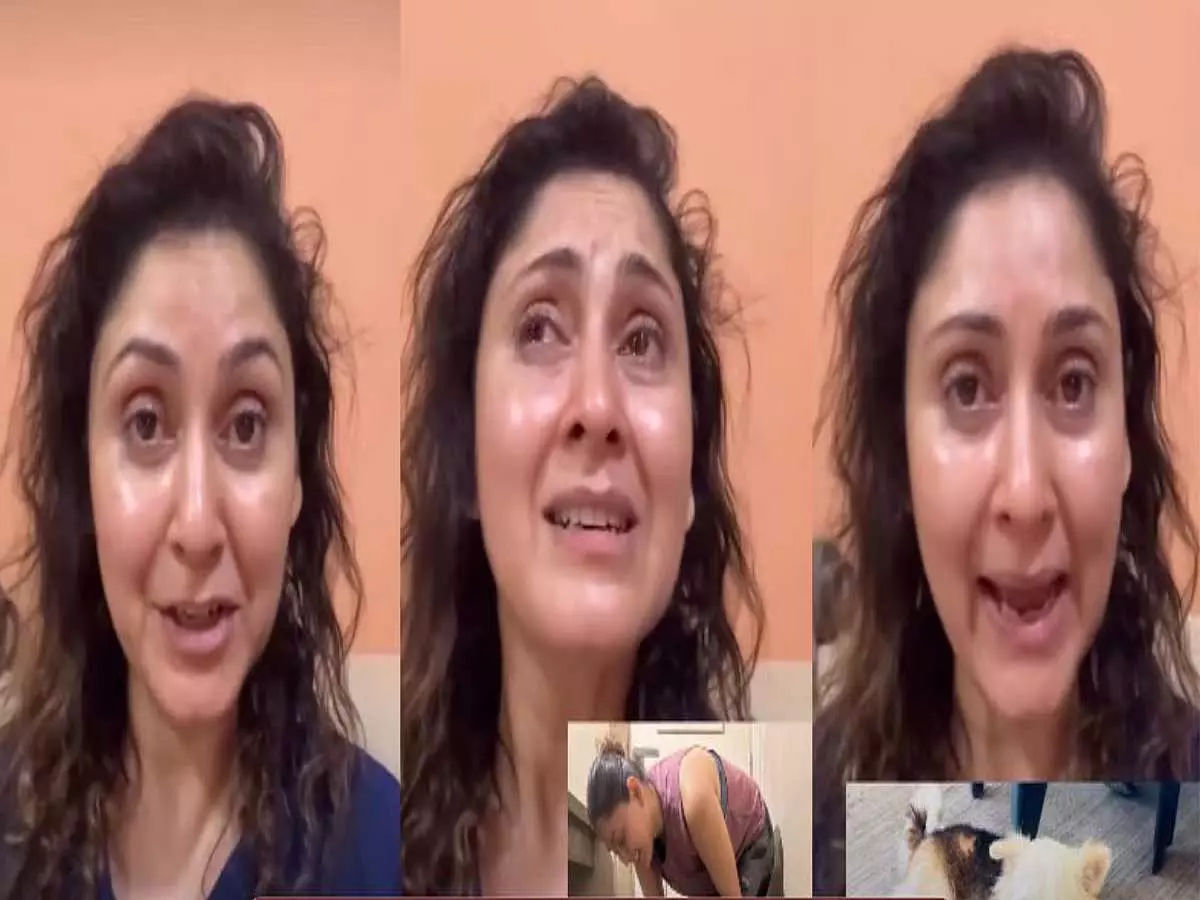 ‘माइकी की बेरहमी से हत्या की गई’: मंजरी फडनीस ने गोद लिए कुत्ते के लिए न्याय की मांग, वीडियो में हुईं भावुक ‘माइकी की बेरहमी से हत्या की गई’: मंजरी फडनीस ने गोद लिए कुत्ते के लिए न्याय की मांग, वीडियो में हुईं भावुक