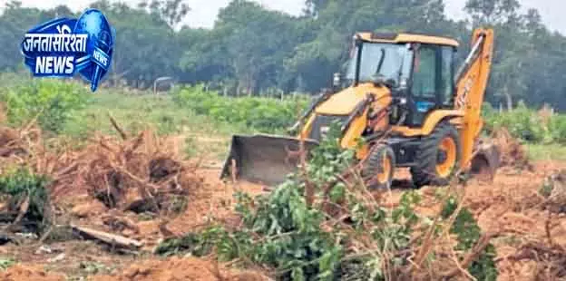 Baripada बस टर्मिनल प्रोजेक्ट में पेड़ कटाई पर विवाद Baripada बस टर्मिनल प्रोजेक्ट में पेड़ कटाई पर विवाद