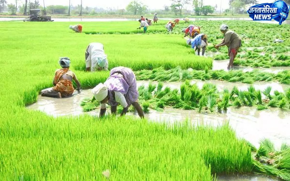 खरीफ 2026 की तैयारी तेज, सहकारी समितियों में 20 हजार टन से अधिक खाद का भंडारण खरीफ 2026 की तैयारी तेज, सहकारी समितियों में 20 हजार टन से अधिक खाद का भंडारण
