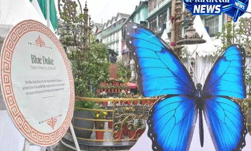 Sikkim: राज्य तितली के गलत प्रदर्शन पर बटरफ्लाई सोसाइटी ने जताई कड़ी आपत्ति Sikkim: राज्य तितली के गलत प्रदर्शन पर बटरफ्लाई सोसाइटी ने जताई कड़ी आपत्ति