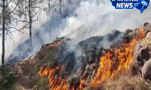 Rajouri: सूखे हालात और तेज़ तापमान के बीच राजौरी में आग ने मचाई तबाही Rajouri: सूखे हालात और तेज़ तापमान के बीच राजौरी में आग ने मचाई तबाही