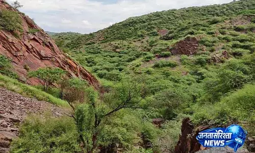 Aravalli सुरक्षा NCZ क्षेत्रीय योजना 2041 में बना रहेगा Aravalli सुरक्षा NCZ क्षेत्रीय योजना 2041 में बना रहेगा