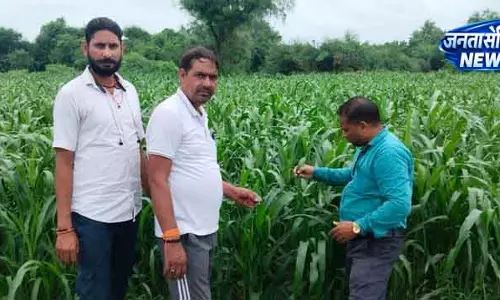 दक्षिण Haryana में फसल पैटर्न में बदलाव दक्षिण Haryana में फसल पैटर्न में बदलाव