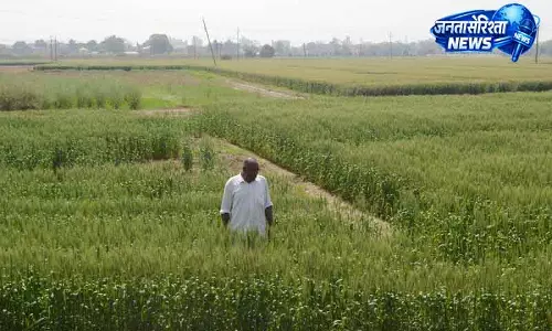 Haryana में प्रिसिजन टेक से खेती में बदलाव Haryana में प्रिसिजन टेक से खेती में बदलाव