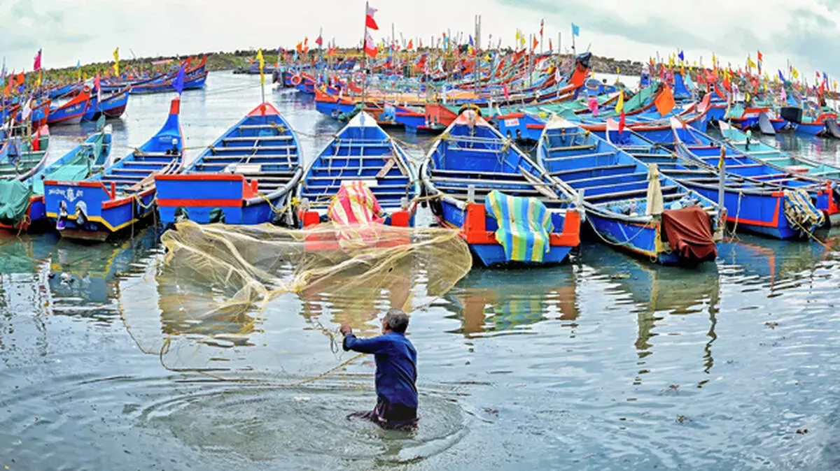 Kerala में 52 दिनों का ट्रॉलिंग बैन: ताजी मछली मिलना होगा मुश्किल Kerala में 52 दिनों का ट्रॉलिंग बैन: ताजी मछली मिलना होगा मुश्किल