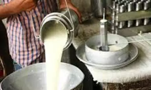 Nahan: दुग्ध व्यवसायियों ने मूल्य वृद्धि की मांग को लेकर ज्ञापन दिया