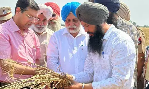 Ludhiana जिले के मटन गांव में एक प्रोफेसर-सह-हरित योद्धा की 2-चरणीय क्रांति Ludhiana जिले के मटन गांव में एक प्रोफेसर-सह-हरित योद्धा की 2-चरणीय क्रांति