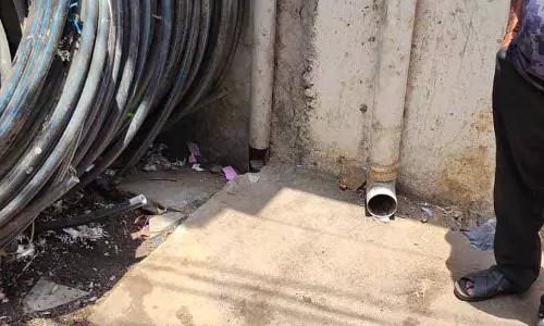 केलकरपारा स्टेशन रोड की सफाई करवाकर कचरा उठवाई गई केलकरपारा स्टेशन रोड की सफाई करवाकर कचरा उठवाई गई