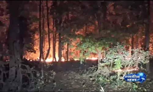 तारिणी मंदिर के पास जंगल में लगी आग से Malkangiri में चिंता बढ़ी तारिणी मंदिर के पास जंगल में लगी आग से Malkangiri में चिंता बढ़ी