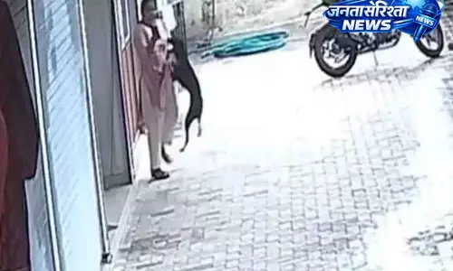 Kasargod में आवारा कुत्ते के हमले में 10 लोग घायल, महिला के चेहरे पर काटा Kasargod में आवारा कुत्ते के हमले में 10 लोग घायल, महिला के चेहरे पर काटा