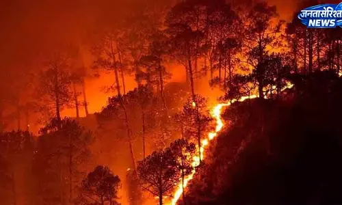 हिमाचल प्रदेश में 18 दिन में 271 जगह सुलगे जंगल हिमाचल प्रदेश में 18 दिन में 271 जगह सुलगे जंगल