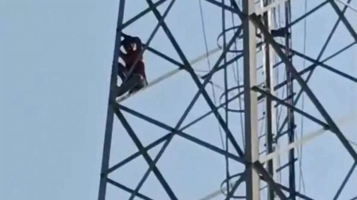 प्रेमिका को उठा ले गई पुलिस, प्रेमी ने मोबाइल टावर में चढ़कर किया ड्रामा प्रेमिका को उठा ले गई पुलिस, प्रेमी ने मोबाइल टावर में चढ़कर किया ड्रामा