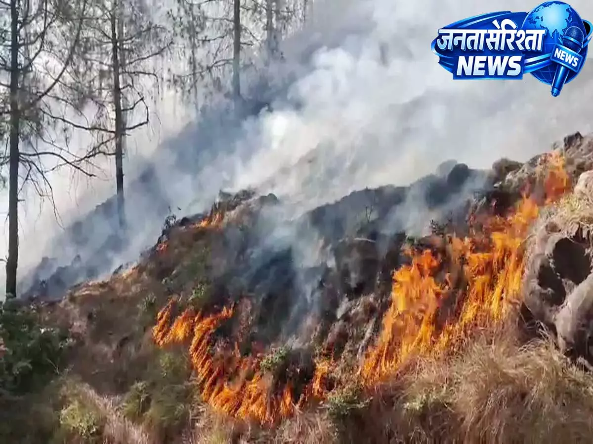 Rajouri: सूखे हालात और तेज़ तापमान के बीच राजौरी में आग ने मचाई तबाही Rajouri: सूखे हालात और तेज़ तापमान के बीच राजौरी में आग ने मचाई तबाही
