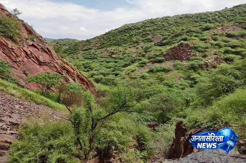 Aravalli सुरक्षा NCZ क्षेत्रीय योजना 2041 में बना रहेगा Aravalli सुरक्षा NCZ क्षेत्रीय योजना 2041 में बना रहेगा