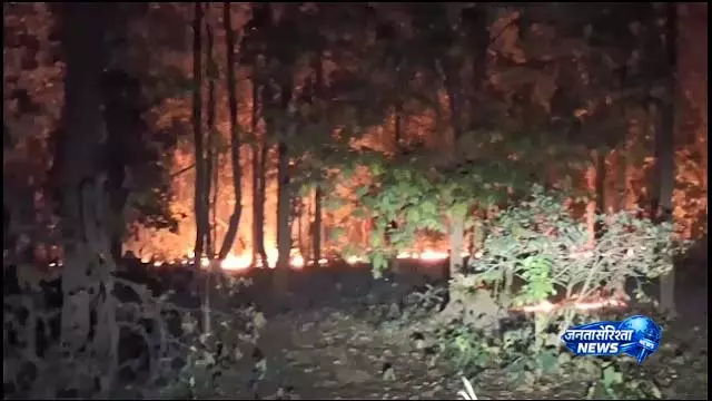तारिणी मंदिर के पास जंगल में लगी आग से Malkangiri में चिंता बढ़ी तारिणी मंदिर के पास जंगल में लगी आग से Malkangiri में चिंता बढ़ी