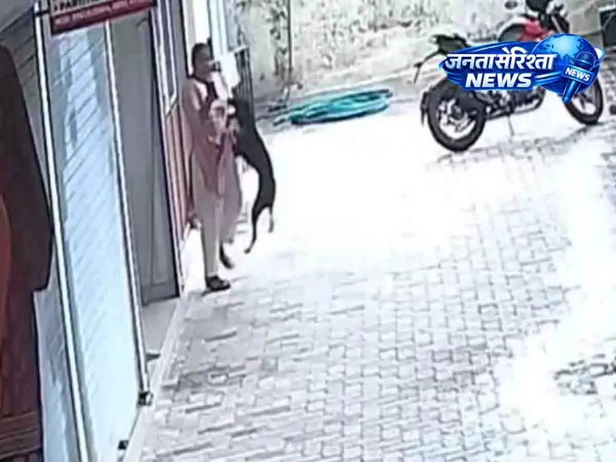 Kasargod में आवारा कुत्ते के हमले में 10 लोग घायल, महिला के चेहरे पर काटा Kasargod में आवारा कुत्ते के हमले में 10 लोग घायल, महिला के चेहरे पर काटा