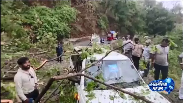 चित्रकोंडा के MLA मंगू खिल्ला बाल-बाल बचे, उनकी कार पर गिरा बड़ा पेड़ चित्रकोंडा के MLA मंगू खिल्ला बाल-बाल बचे, उनकी कार पर गिरा बड़ा पेड़