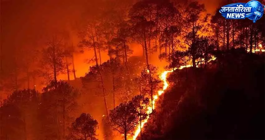 हिमाचल प्रदेश में 18 दिन में 271 जगह सुलगे जंगल हिमाचल प्रदेश में 18 दिन में 271 जगह सुलगे जंगल