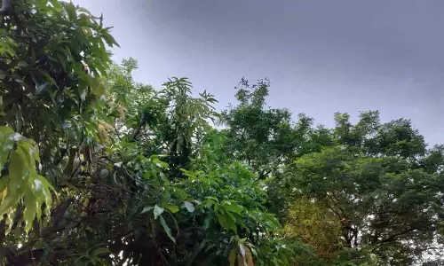 16 राज्यों में आंधी-तूफान और बारिश के असर, गर्मी से मिलेगी राहत 16 राज्यों में आंधी-तूफान और बारिश के असर, गर्मी से मिलेगी राहत