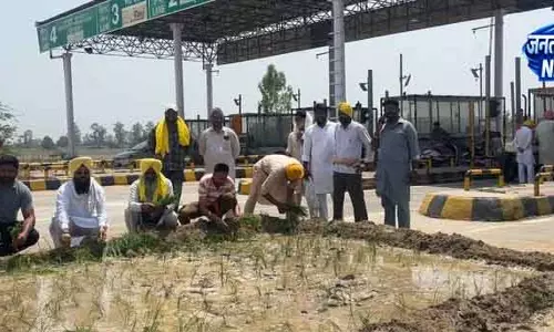 Ferozepur टोल प्लाज़ा के पास धान रोपकर किसानों ने जताया विरोध Ferozepur टोल प्लाज़ा के पास धान रोपकर किसानों ने जताया विरोध
