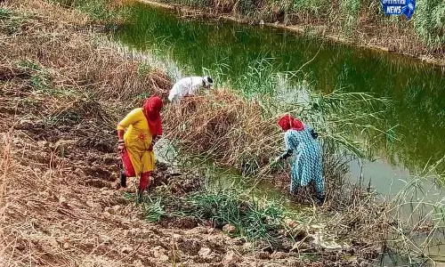 मानसून से पहले Sirsa-Fatehabad में नाला सफाई तेज मानसून से पहले Sirsa-Fatehabad में नाला सफाई तेज
