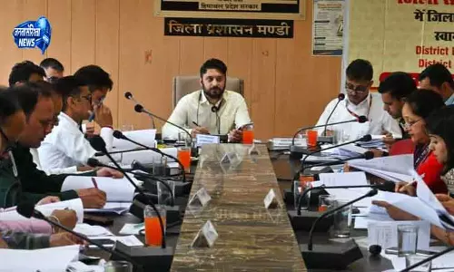 Mandi DC ने बैंकों को योजनाएं अंतिम लाभार्थी तक पहुंचाने के निर्देश Mandi DC ने बैंकों को योजनाएं अंतिम लाभार्थी तक पहुंचाने के निर्देश