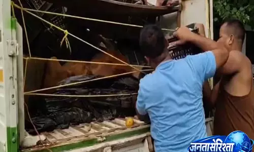 Assam: बारपेटा में आम से लदी पिकअप वैन से 12 मवेशियों का रेस्क्यू, एक की मौत Assam: बारपेटा में आम से लदी पिकअप वैन से 12 मवेशियों का रेस्क्यू, एक की मौत