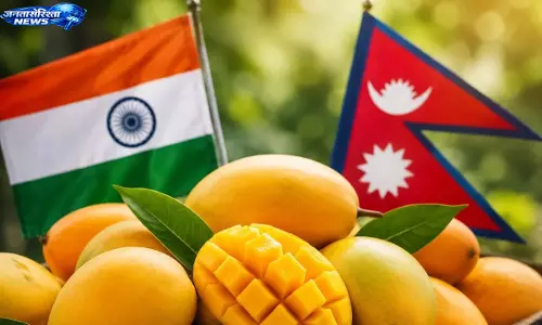 Nepal ने आमों पर कोई प्रतिबंध नहीं लगाया Nepal ने आमों पर कोई प्रतिबंध नहीं लगाया