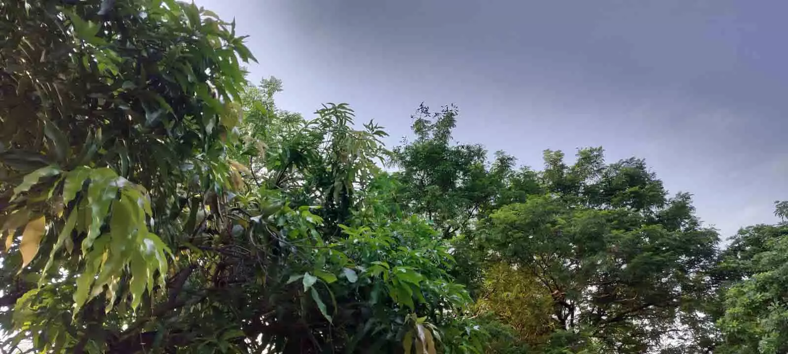 16 राज्यों में आंधी-तूफान और बारिश के असर, गर्मी से मिलेगी राहत 16 राज्यों में आंधी-तूफान और बारिश के असर, गर्मी से मिलेगी राहत