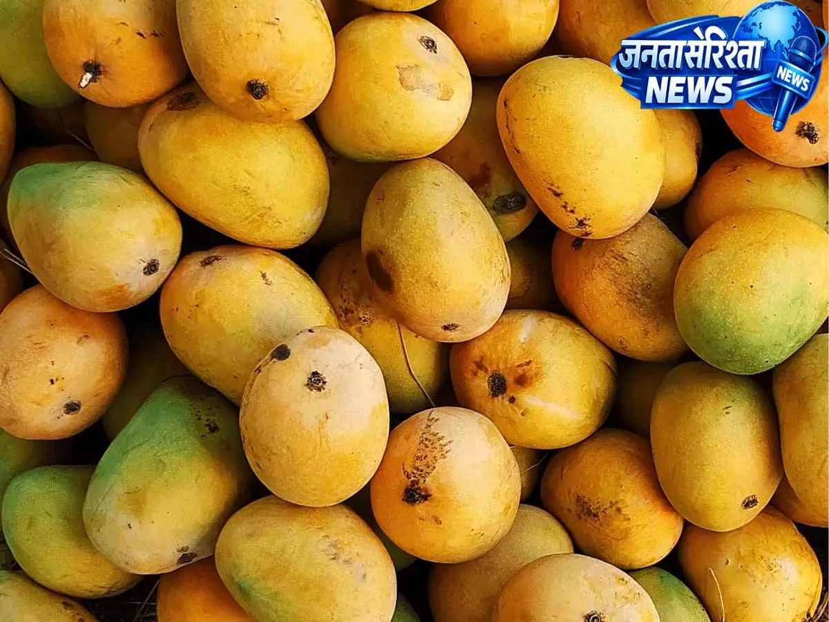 Hyderabad: आम सेवन के बाद दो बहनों की मौत, संदिग्ध फूड पॉइज़निंग मामला Hyderabad: आम सेवन के बाद दो बहनों की मौत, संदिग्ध फूड पॉइज़निंग मामला