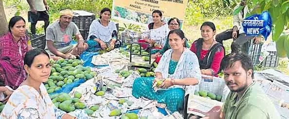 अंगुल के आमों ने लंदन में दस्तक दी अंगुल के आमों ने लंदन में दस्तक दी