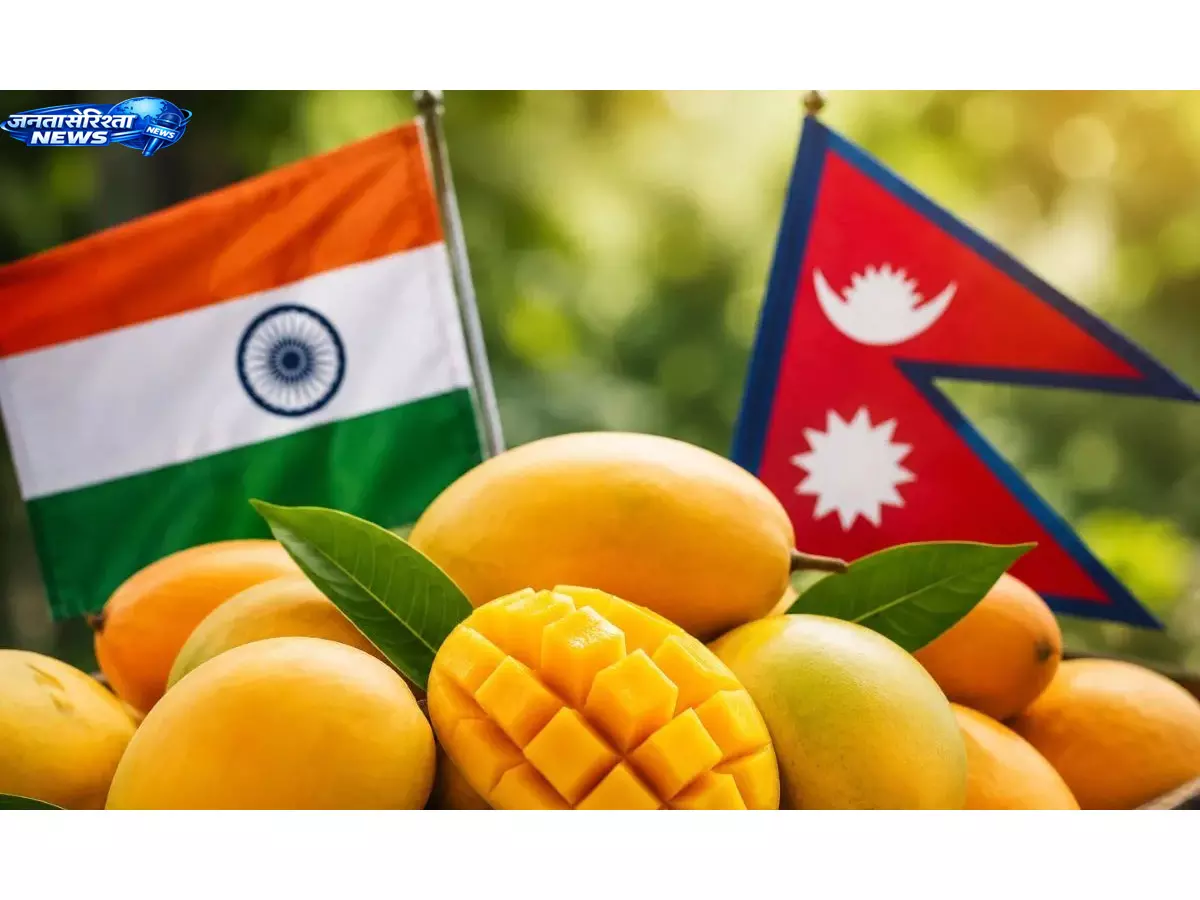 Nepal ने आमों पर कोई प्रतिबंध नहीं लगाया Nepal ने आमों पर कोई प्रतिबंध नहीं लगाया
