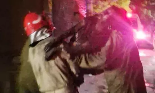 Delhi की 5 मंजिला इमारत में भीषण आग, 3 की मौत की आशंका Delhi की 5 मंजिला इमारत में भीषण आग, 3 की मौत की आशंका