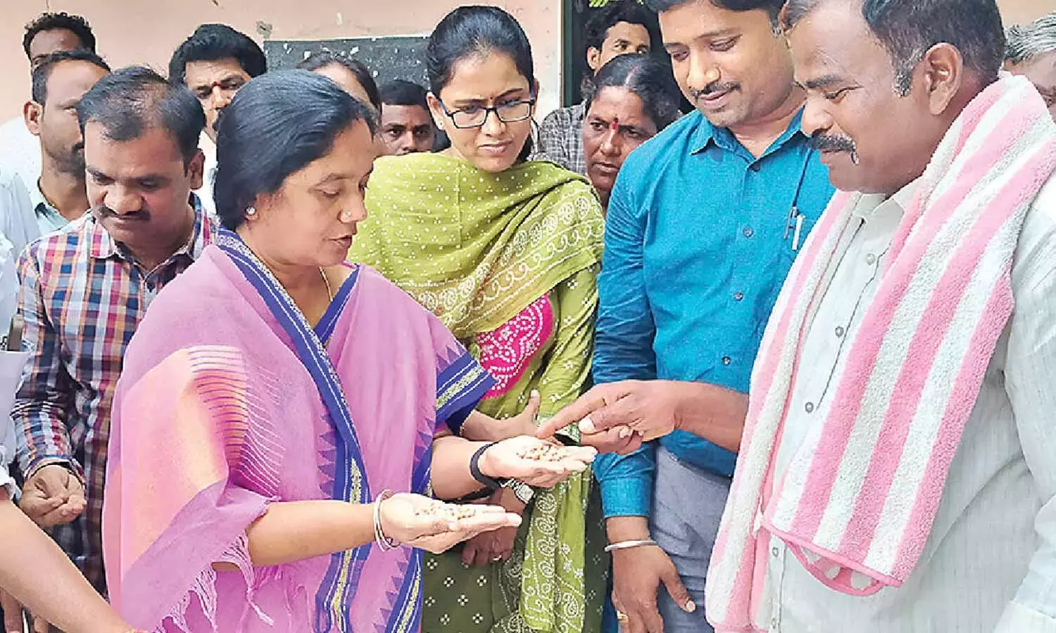रप्टाडु स्टॉक पॉइंट्स पर 700 क्विंटल K-6 बीज तैयार रप्टाडु स्टॉक पॉइंट्स पर 700 क्विंटल K-6 बीज तैयार