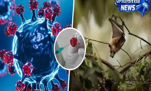 Kerala: निपाह वायरस को लेकर अलर्ट, राज्यों को एहतियाती कदम तेज करने के निर्देश Kerala: निपाह वायरस को लेकर अलर्ट, राज्यों को एहतियाती कदम तेज करने के निर्देश