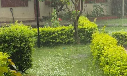 Himachal के पालमपुर में मौसम का कहर Himachal के पालमपुर में मौसम का कहर