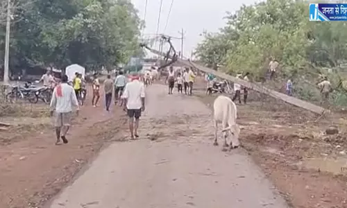 आंधी-तूफान ने बालोद में मचाई तबाही, कहीं रोड में गिरा पेड़ तो कहीं मोबाइल टॉवर और बिजली पोल आंधी-तूफान ने बालोद में मचाई तबाही, कहीं रोड में गिरा पेड़ तो कहीं मोबाइल टॉवर और बिजली पोल