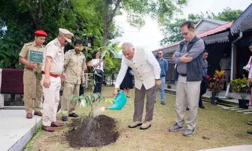 पूरे राज्य में वृक्षारोपण अभियान के साथ ग्रीन मिजोरम डे मनाया गया पूरे राज्य में वृक्षारोपण अभियान के साथ ग्रीन मिजोरम डे मनाया गया