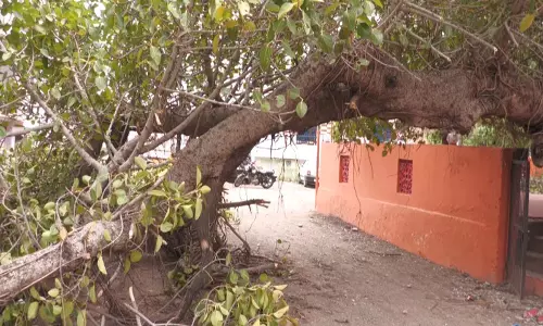 Udhampur में तेज हवाओं से पेड़ उखड़े, वाहन क्षतिग्रस्त Udhampur में तेज हवाओं से पेड़ उखड़े, वाहन क्षतिग्रस्त