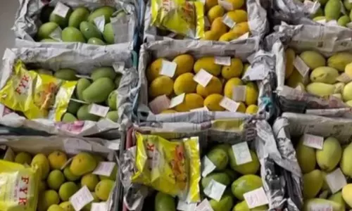 HFAST ने हैदराबाद में खाने-पीने की चीजों में मिलावट के खिलाफ छापेमारी शुरू की HFAST ने हैदराबाद में खाने-पीने की चीजों में मिलावट के खिलाफ छापेमारी शुरू की