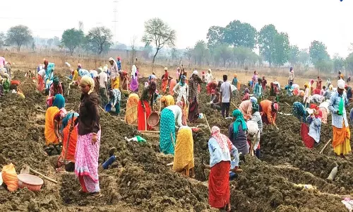 मनरेगा के अंतर्गत जिले की 300 ग्राम पंचायतों में निर्माण कार्य प्रारंभ मनरेगा के अंतर्गत जिले की 300 ग्राम पंचायतों में निर्माण कार्य प्रारंभ