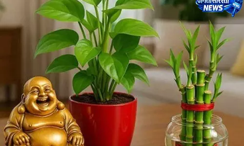 वास्तु और फेंगशुई के अनुसार सकारात्मक ऊर्जा बढ़ाने के आसान उपाय वास्तु और फेंगशुई के अनुसार सकारात्मक ऊर्जा बढ़ाने के आसान उपाय