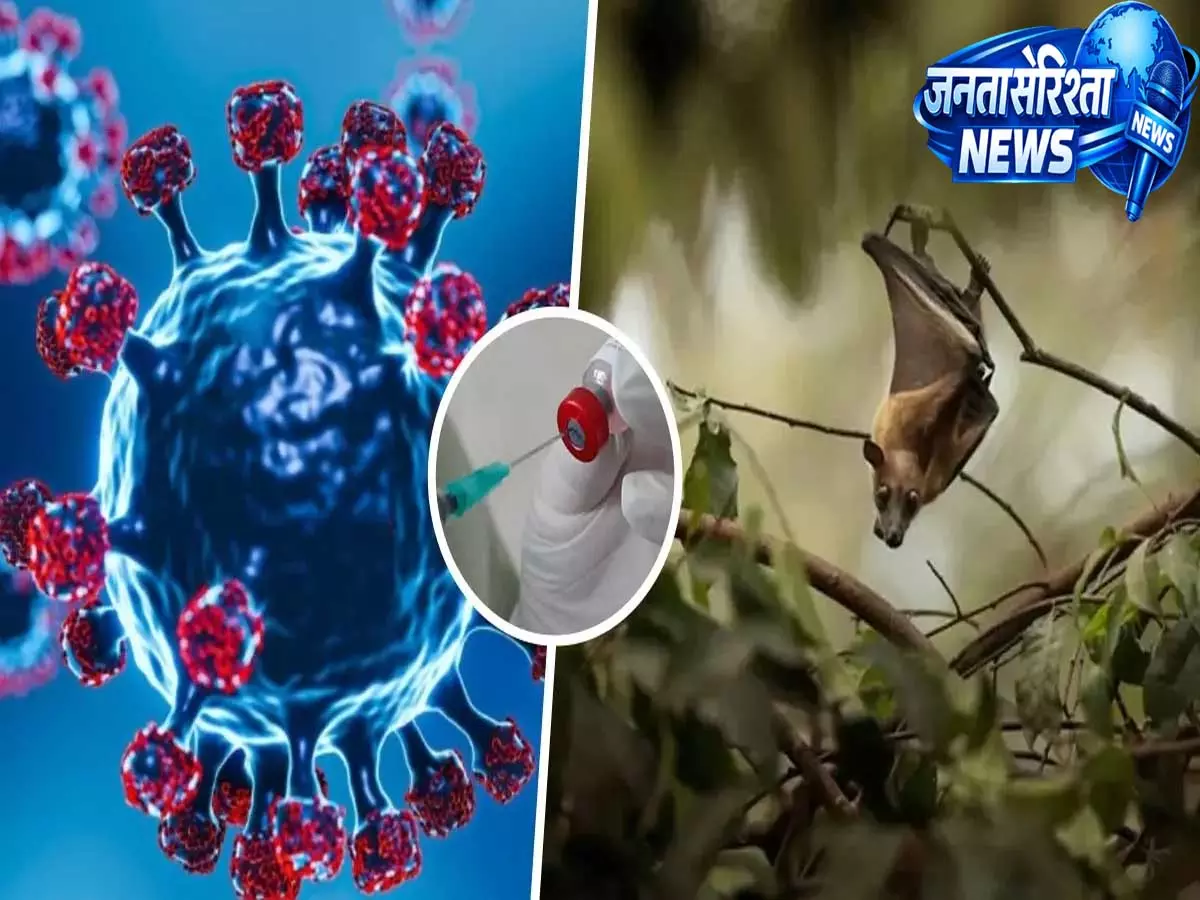 Kerala: निपाह वायरस को लेकर अलर्ट, राज्यों को एहतियाती कदम तेज करने के निर्देश Kerala: निपाह वायरस को लेकर अलर्ट, राज्यों को एहतियाती कदम तेज करने के निर्देश