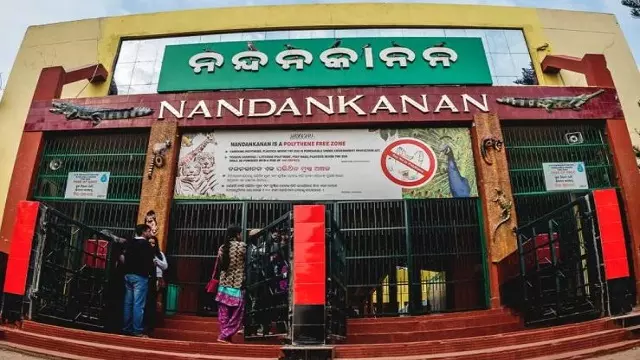 Raja Sankranti पर खुला रहेगा नंदनकानन चिड़ियाघर Raja Sankranti पर खुला रहेगा नंदनकानन चिड़ियाघर