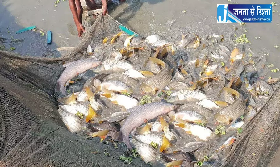 मत्स्याखेट पर प्रतिबंध मत्स्याखेट पर प्रतिबंध